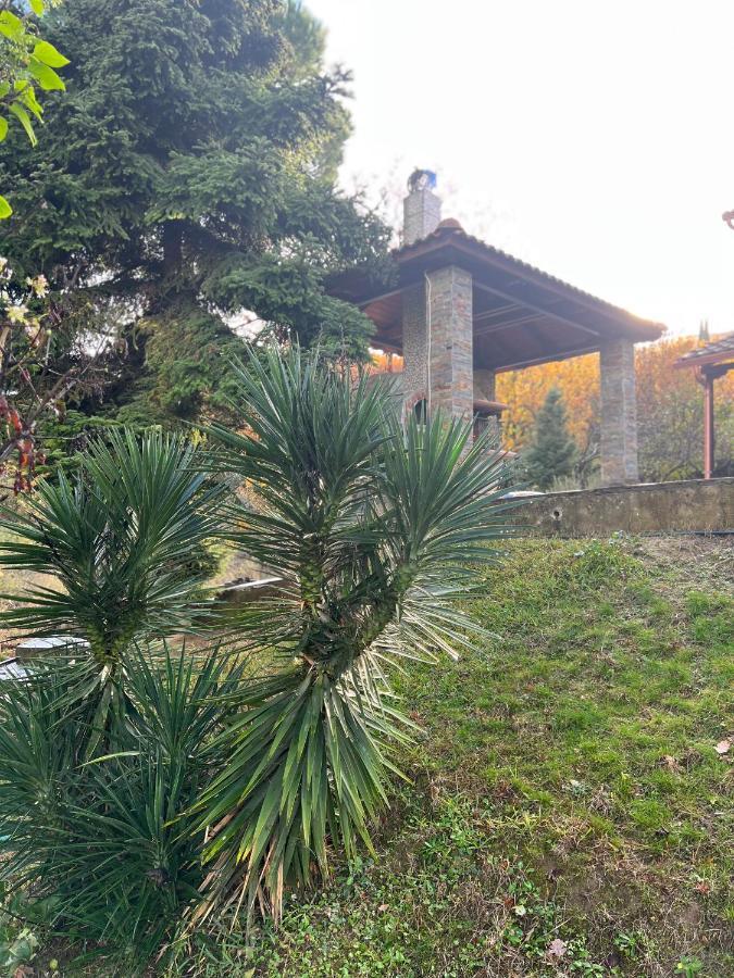 شقة House In The Woods Kardítsa المظهر الخارجي الصورة